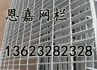 購(gòu)買(mǎi)鋼格柵板,恩嘉絲網(wǎng) 已認(rèn)證 ,鋼格柵板高清圖片 高清大圖